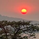 RECONNECT WITH NATURE AT SAMUKA ISLAND IN JINJA, UGANDA