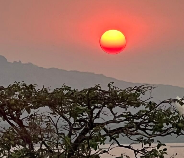 RECONNECT WITH NATURE AT SAMUKA ISLAND IN JINJA, UGANDA