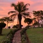 Nature’s Embrace: Life on Samuka Island