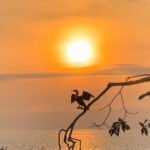 Rejuvenate Your Spirit in Nature: The Samuka Island Experience