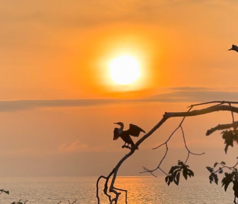 Rejuvenate Your Spirit in Nature: The Samuka Island Experience